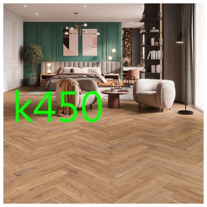 K450-1.jpg
