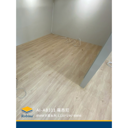 AB311 羅西尼1.png